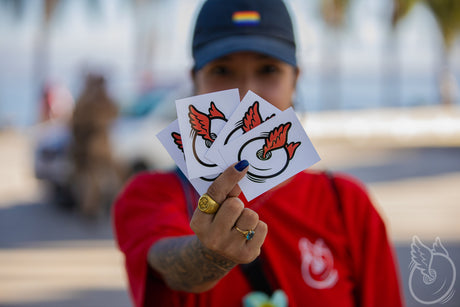 O Rio Virou um Mar de Patins: O Sol tirou os patinadores de casa!